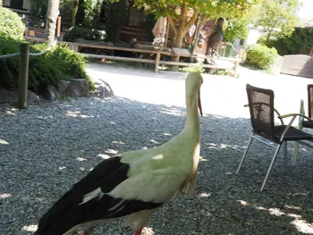 NaturOparC Hunawihr, Alsace (France)